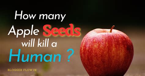 how many apple seeds will kill you.